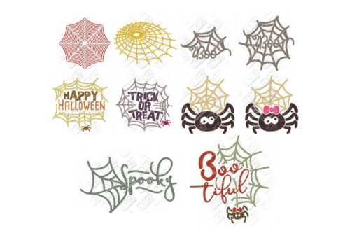 Spider Web SVG