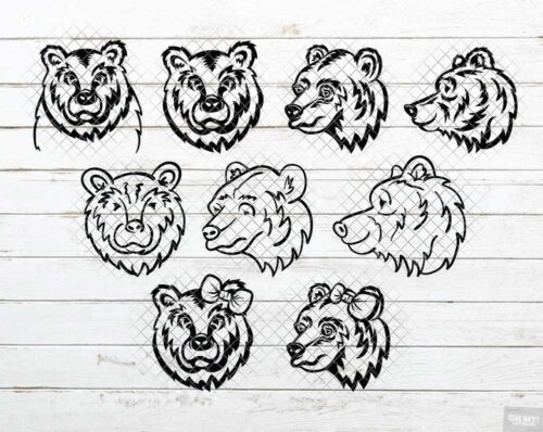 bear face svg